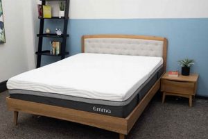 Top-Rated: Best Amazon Mattress Reddit Picks & Reviews Organic & Natural Mattress Buyer’s Guide: Non-Toxic Sleep Solutions Top-Rated: Best Amazon Mattress Reddit Picks & Reviews | Organic & Natural Mattress Buyer’s Guide: Non-Toxic Sleep Solutions
