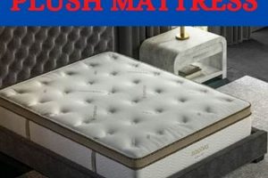 Ultimate Guide: The Best Ultra Plush Mattress [2024] | Organic & Natural Mattress Buyer’s Guide: Non-Toxic Sleep Solutions