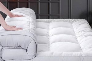 Top Futon Comfort: Best Mattress Topper for Your Futon [Guide] | Organic & Natural Mattress Buyer’s Guide: Non-Toxic Sleep Solutions