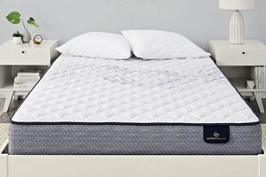 Best Serta Twin XL Mattress [Guide & Deals] | Organic & Natural Mattress Buyer’s Guide: Non-Toxic Sleep Solutions