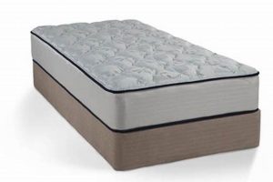 Top-Rated Best Twin Size Mattress [2024 Guide] | Organic & Natural Mattress Buyer’s Guide: Non-Toxic Sleep Solutions