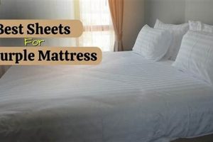 Top-Rated: Best Sheets for Purple Mattress - Ultimate Guide Organic & Natural Mattress Buyer’s Guide: Non-Toxic Sleep Solutions Top-Rated: Best Sheets for Purple Mattress - Ultimate Guide | Organic & Natural Mattress Buyer’s Guide: Non-Toxic Sleep Solutions