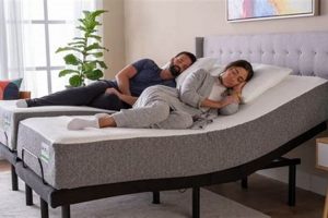 Top-Rated: The Best Split King Mattress & Adjustable Bed [2024] | Organic & Natural Mattress Buyer’s Guide: Non-Toxic Sleep Solutions