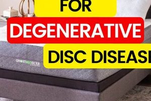 Top-Rated Best Mattress for Degenerative Disc Disease Relief! Organic & Natural Mattress Buyer’s Guide: Non-Toxic Sleep Solutions Top-Rated Best Mattress for Degenerative Disc Disease Relief! | Organic & Natural Mattress Buyer’s Guide: Non-Toxic Sleep Solutions