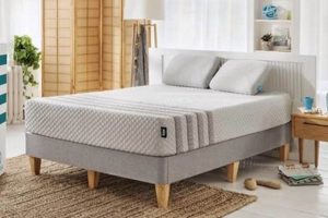 Top-Rated Best Mattress for Old People: Sleep Better Now! Organic & Natural Mattress Buyer’s Guide: Non-Toxic Sleep Solutions Top-Rated Best Mattress for Old People: Sleep Better Now! | Organic & Natural Mattress Buyer’s Guide: Non-Toxic Sleep Solutions