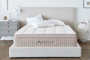 Top-Rated Best Platform Mattress [Guide 2024] | Organic & Natural Mattress Buyer’s Guide: Non-Toxic Sleep Solutions
