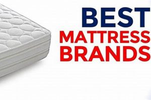 Find Your Best Brand Mattress: Top Rated & Reviewed Organic & Natural Mattress Buyer’s Guide: Non-Toxic Sleep Solutions Find Your Best Brand Mattress: Top Rated & Reviewed | Organic & Natural Mattress Buyer’s Guide: Non-Toxic Sleep Solutions