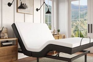 Top-Rated: The Best Adjustable Mattress For Back Pain? Organic & Natural Mattress Buyer’s Guide: Non-Toxic Sleep Solutions Top-Rated: The Best Adjustable Mattress For Back Pain? | Organic & Natural Mattress Buyer’s Guide: Non-Toxic Sleep Solutions