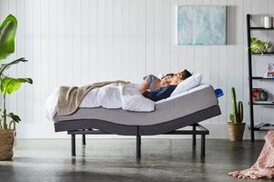 Top King Size Mattress for Bad Back Relief (2024) Organic & Natural Mattress Buyer’s Guide: Non-Toxic Sleep Solutions Top King Size Mattress for Bad Back Relief (2024) | Organic & Natural Mattress Buyer’s Guide: Non-Toxic Sleep Solutions