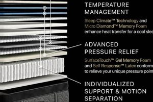 Top Simmons Beautyrest: Find Your Best Mattress! Organic & Natural Mattress Buyer’s Guide: Non-Toxic Sleep Solutions Top Simmons Beautyrest: Find Your Best Mattress! | Organic & Natural Mattress Buyer’s Guide: Non-Toxic Sleep Solutions