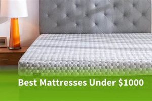 Top Rated: Best Mattress Under $1000 For You! Organic & Natural Mattress Buyer’s Guide: Non-Toxic Sleep Solutions Top Rated: Best Mattress Under $1000 For You! | Organic & Natural Mattress Buyer’s Guide: Non-Toxic Sleep Solutions