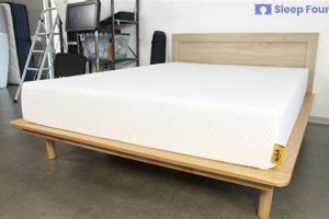 Top-Rated Best Mattress for Couples Reviews [2024] | Organic & Natural Mattress Buyer’s Guide: Non-Toxic Sleep Solutions