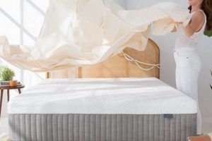 Top-Rated Best Mattress Organic Picks & Benefits Organic & Natural Mattress Buyer’s Guide: Non-Toxic Sleep Solutions Top-Rated Best Mattress Organic Picks & Benefits | Organic & Natural Mattress Buyer’s Guide: Non-Toxic Sleep Solutions