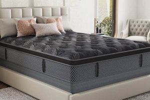 Top-Rated Best Pocket Spring Mattress for Ultimate Comfort Organic & Natural Mattress Buyer’s Guide: Non-Toxic Sleep Solutions Top-Rated Best Pocket Spring Mattress for Ultimate Comfort | Organic & Natural Mattress Buyer’s Guide: Non-Toxic Sleep Solutions