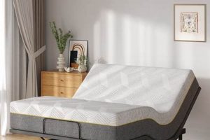 Best Twin XL Adjustable Mattress [Deals + Guide] | Organic & Natural Mattress Buyer’s Guide: Non-Toxic Sleep Solutions