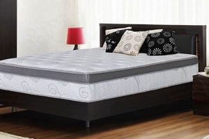 Top-Rated: The Best Spring Mattress [2024 Guide] | Organic & Natural Mattress Buyer’s Guide: Non-Toxic Sleep Solutions