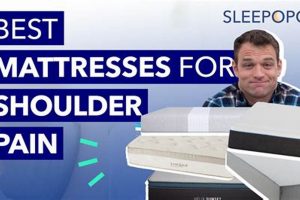 Top-Rated Best Mattress for Hip & Shoulder Pain Relief! Organic & Natural Mattress Buyer’s Guide: Non-Toxic Sleep Solutions Top-Rated Best Mattress for Hip & Shoulder Pain Relief! | Organic & Natural Mattress Buyer’s Guide: Non-Toxic Sleep Solutions