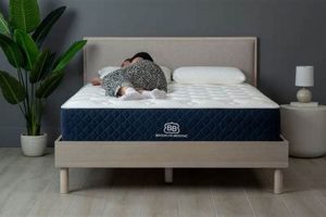The Best Value: Affordable Queen Mattress Deals Organic & Natural Mattress Buyer’s Guide: Non-Toxic Sleep Solutions The Best Value: Affordable Queen Mattress Deals | Organic & Natural Mattress Buyer’s Guide: Non-Toxic Sleep Solutions