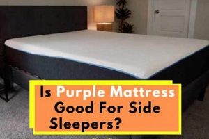 Top-Rated Purple Mattress for Side Sleepers: Reviews & Guide | Organic & Natural Mattress Buyer’s Guide: Non-Toxic Sleep Solutions