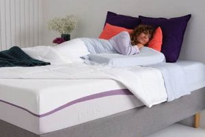 Best Twin XL Purple Mattress: Comfort & Size! Organic & Natural Mattress Buyer’s Guide: Non-Toxic Sleep Solutions Best Twin XL Purple Mattress: Comfort & Size! | Organic & Natural Mattress Buyer’s Guide: Non-Toxic Sleep Solutions