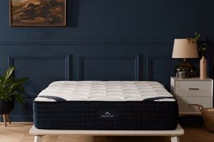 The Ultimate Best Dream Cloud Mattress [Guide 2024] | Organic & Natural Mattress Buyer’s Guide: Non-Toxic Sleep Solutions