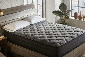 Top Rated: Best Firm Hybrid Mattress for Back Support Organic & Natural Mattress Buyer’s Guide: Non-Toxic Sleep Solutions Top Rated: Best Firm Hybrid Mattress for Back Support | Organic & Natural Mattress Buyer’s Guide: Non-Toxic Sleep Solutions