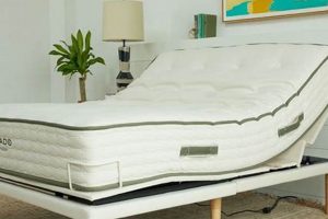Top-Rated Best Mattress for Adjustable Beds Reviewed Organic & Natural Mattress Buyer’s Guide: Non-Toxic Sleep Solutions Top-Rated Best Mattress for Adjustable Beds Reviewed | Organic & Natural Mattress Buyer’s Guide: Non-Toxic Sleep Solutions