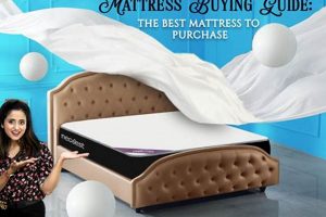 Top Picks: The Best Mattress to Purchase [2024 Guide] | Organic & Natural Mattress Buyer’s Guide: Non-Toxic Sleep Solutions