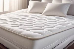 Top-Rated: Best Mattress Topper for Shoulder Pain Relief Organic & Natural Mattress Buyer’s Guide: Non-Toxic Sleep Solutions Top-Rated: Best Mattress Topper for Shoulder Pain Relief | Organic & Natural Mattress Buyer’s Guide: Non-Toxic Sleep Solutions