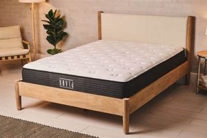 Top Pick: What is the Best Firm Mattress? [2024] | Organic & Natural Mattress Buyer’s Guide: Non-Toxic Sleep Solutions