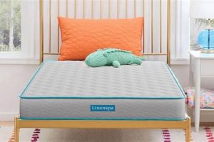 Top Cheap: Best Twin Mattress Under $100 Reviewed! Organic & Natural Mattress Buyer’s Guide: Non-Toxic Sleep Solutions Top Cheap: Best Twin Mattress Under $100 Reviewed! | Organic & Natural Mattress Buyer’s Guide: Non-Toxic Sleep Solutions