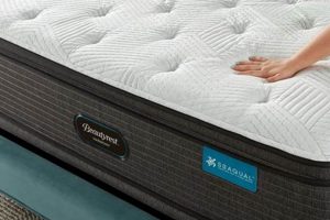 Best Plush Pillow Top Mattress Organic & Natural Mattress Buyer’s Guide: Non-Toxic Sleep Solutions Best Plush Pillow Top Mattress | Organic & Natural Mattress Buyer’s Guide: Non-Toxic Sleep Solutions