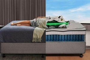 Top-Rated Best Mattress for Bad Back: Ultimate Guide Organic & Natural Mattress Buyer’s Guide: Non-Toxic Sleep Solutions Top-Rated Best Mattress for Bad Back: Ultimate Guide | Organic & Natural Mattress Buyer’s Guide: Non-Toxic Sleep Solutions
