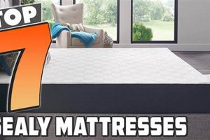 Top Sealy Mattress for Back Pain Relief [2024 Guide] | Organic & Natural Mattress Buyer’s Guide: Non-Toxic Sleep Solutions