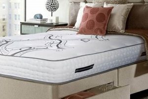 Find The Best Orthopedic Bed Mattress For Back Pain Relief Organic & Natural Mattress Buyer’s Guide: Non-Toxic Sleep Solutions Find The Best Orthopedic Bed Mattress For Back Pain Relief | Organic & Natural Mattress Buyer’s Guide: Non-Toxic Sleep Solutions