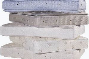 Find the Best Time to Buy a New Mattress: Deals & Tips Organic & Natural Mattress Buyer’s Guide: Non-Toxic Sleep Solutions Find the Best Time to Buy a New Mattress: Deals & Tips | Organic & Natural Mattress Buyer’s Guide: Non-Toxic Sleep Solutions