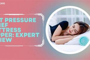 Top Pick: Best Pressure Relief Mattress Topper For Back Pain | Organic & Natural Mattress Buyer’s Guide: Non-Toxic Sleep Solutions