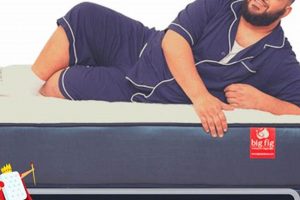 Top Picks: What is Best Mattress for Heavy Person? Guide | Organic & Natural Mattress Buyer’s Guide: Non-Toxic Sleep Solutions