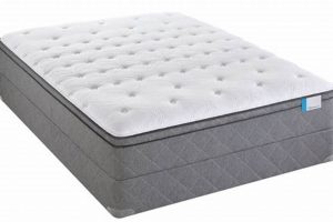Full XL Size Mattress: Extra Long Bedding Guide Organic & Natural Mattress Buyer’s Guide: Non-Toxic Sleep Solutions Full XL Size Mattress: Extra Long Bedding Guide | Organic & Natural Mattress Buyer’s Guide: Non-Toxic Sleep Solutions