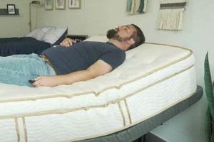 Find The Best Mattress Adjustable Base: Top Rated & Reviews Organic & Natural Mattress Buyer’s Guide: Non-Toxic Sleep Solutions Find The Best Mattress Adjustable Base: Top Rated & Reviews | Organic & Natural Mattress Buyer’s Guide: Non-Toxic Sleep Solutions