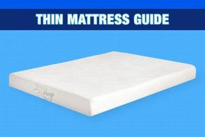 Top-Rated Best Thin Mattress For Comfortable Sleep! | Organic & Natural Mattress Buyer’s Guide: Non-Toxic Sleep Solutions