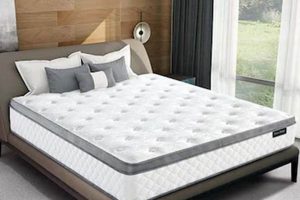 Top-Rated Best Airbnb Mattress for Happy Guests [Guide] | Organic & Natural Mattress Buyer’s Guide: Non-Toxic Sleep Solutions
