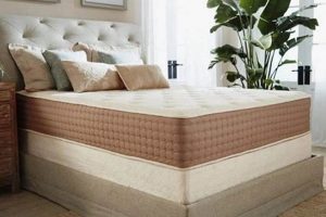 Ultimate Guide: Best Mattress Latex [2024 Review] | Organic & Natural Mattress Buyer’s Guide: Non-Toxic Sleep Solutions