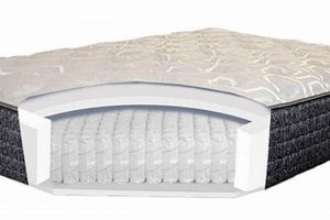 Top-Rated Best Semi Truck Mattress: Sleep Soundly On The Road Organic & Natural Mattress Buyer’s Guide: Non-Toxic Sleep Solutions Top-Rated Best Semi Truck Mattress: Sleep Soundly On The Road | Organic & Natural Mattress Buyer’s Guide: Non-Toxic Sleep Solutions