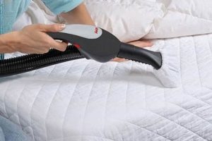 Top-Rated: Best Steam Cleaner for Mattress (2024 Guide) Organic & Natural Mattress Buyer’s Guide: Non-Toxic Sleep Solutions Top-Rated: Best Steam Cleaner for Mattress (2024 Guide) | Organic & Natural Mattress Buyer’s Guide: Non-Toxic Sleep Solutions