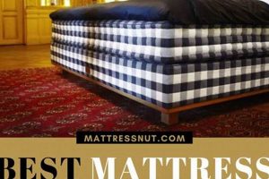 Value Sleep: Finding the Best Mattress for Price Today | Organic & Natural Mattress Buyer’s Guide: Non-Toxic Sleep Solutions