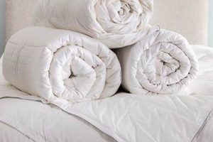 Top Rated Best Mattress For Night Sweats - [Brand Name] | Organic & Natural Mattress Buyer’s Guide: Non-Toxic Sleep Solutions