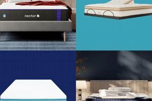 Top-Rated Best Mattress for Side & Stomach Sleepers Guide! Organic & Natural Mattress Buyer’s Guide: Non-Toxic Sleep Solutions Top-Rated Best Mattress for Side & Stomach Sleepers Guide! | Organic & Natural Mattress Buyer’s Guide: Non-Toxic Sleep Solutions