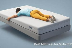 Best Mattress For Si Joint Pain Organic & Natural Mattress Buyer’s Guide: Non-Toxic Sleep Solutions Best Mattress For Si Joint Pain | Organic & Natural Mattress Buyer’s Guide: Non-Toxic Sleep Solutions