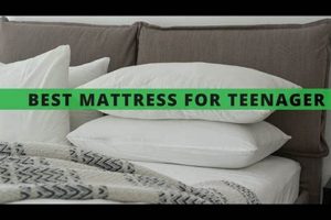 Top-Rated: Best Mattress for Teenager [Sleep Better!] | Organic & Natural Mattress Buyer’s Guide: Non-Toxic Sleep Solutions
